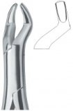 Molars and third molars 10S 